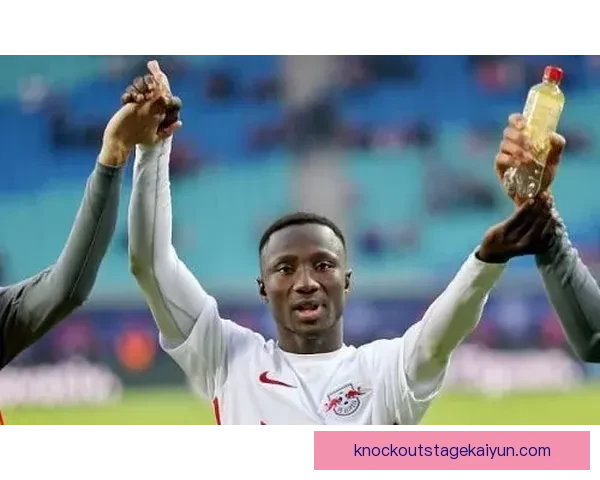 德甲转会动态：多队引援动作频频，夏窗竞争格局初显